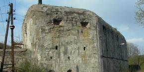 Templatemo Pic 1